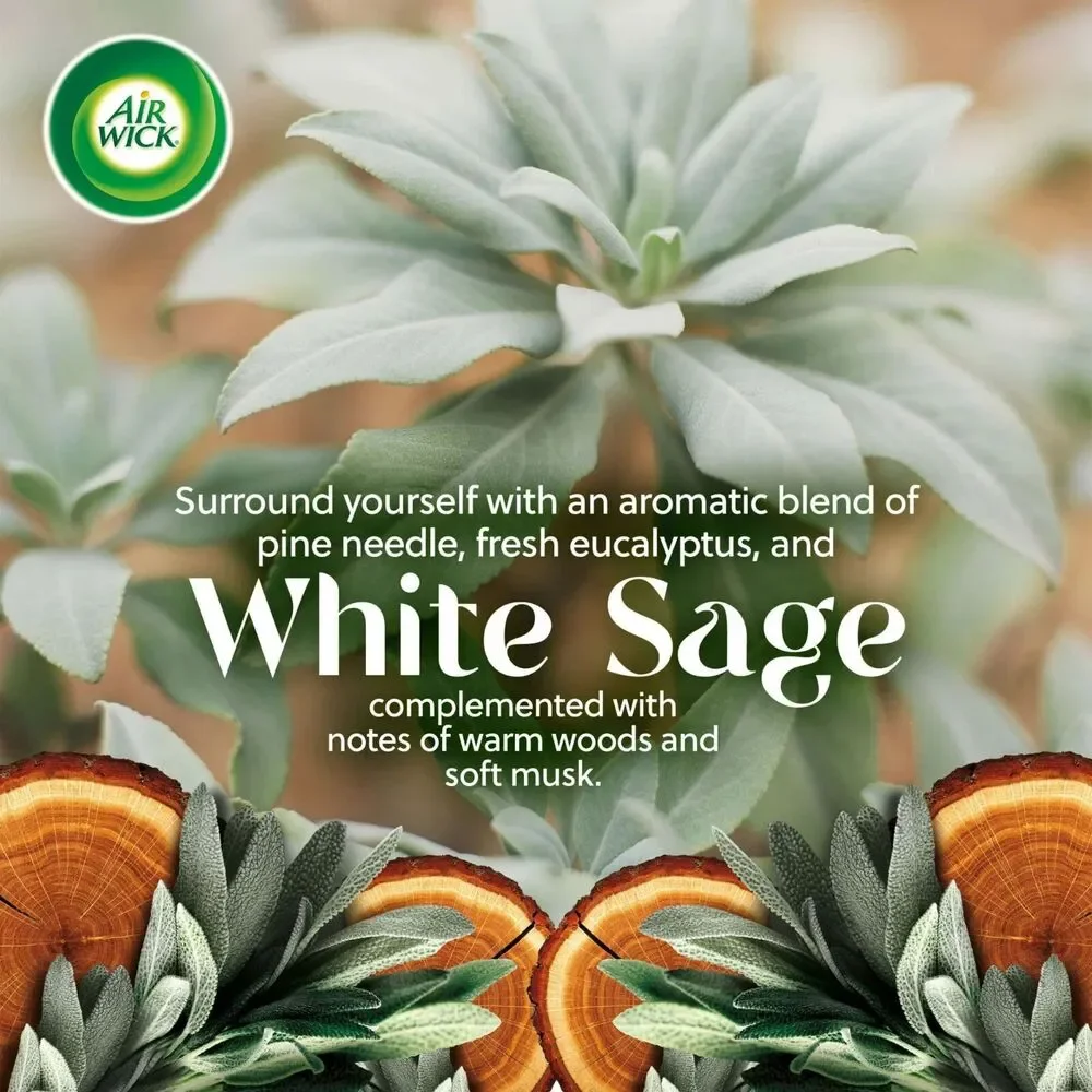 Air Wick Vibrant Scented Oil Plug-In Warmers – White Sage & Mahogany (2-Pack)